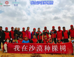 我在沙漠种棵树